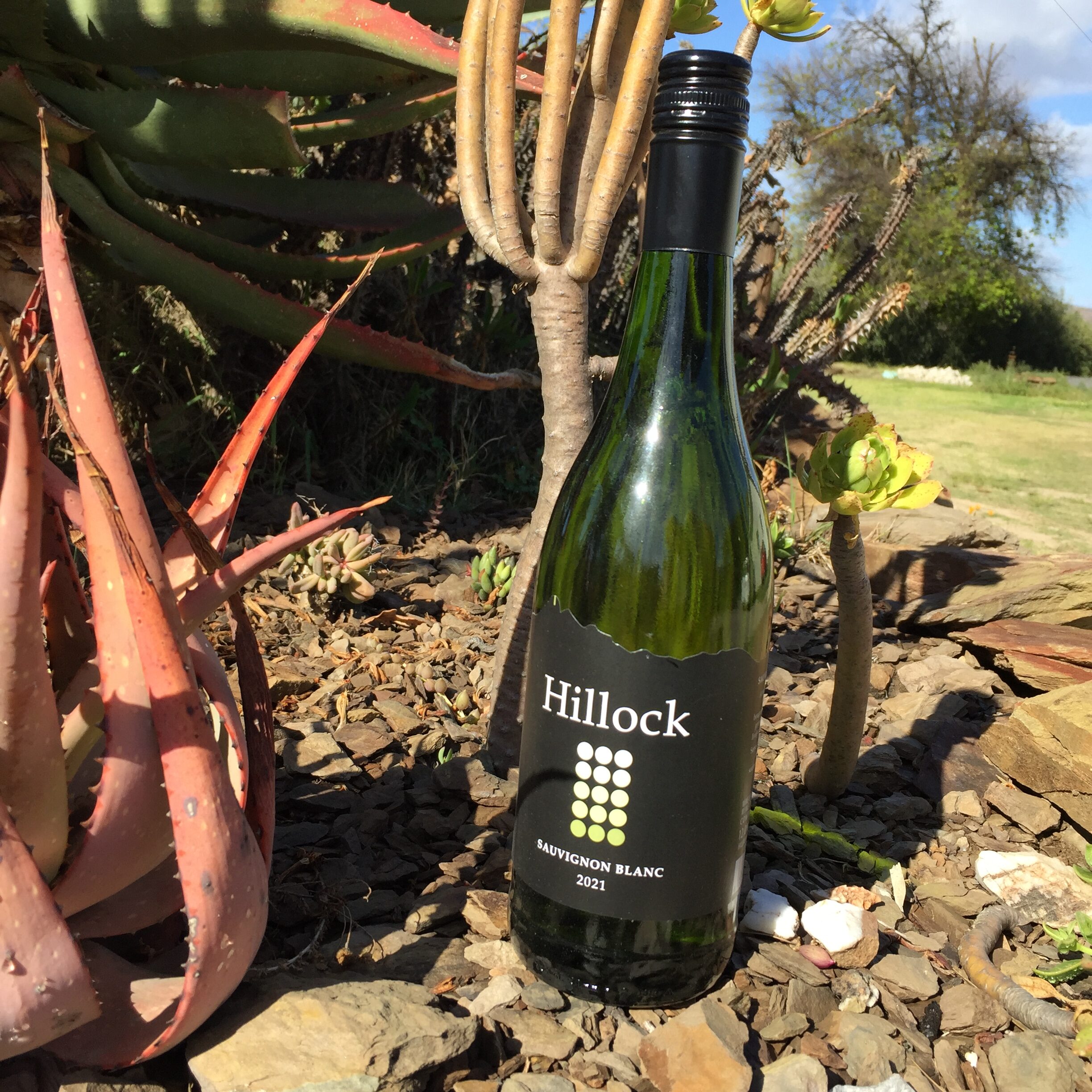 Hillock Wines - Klein Karoo Wines